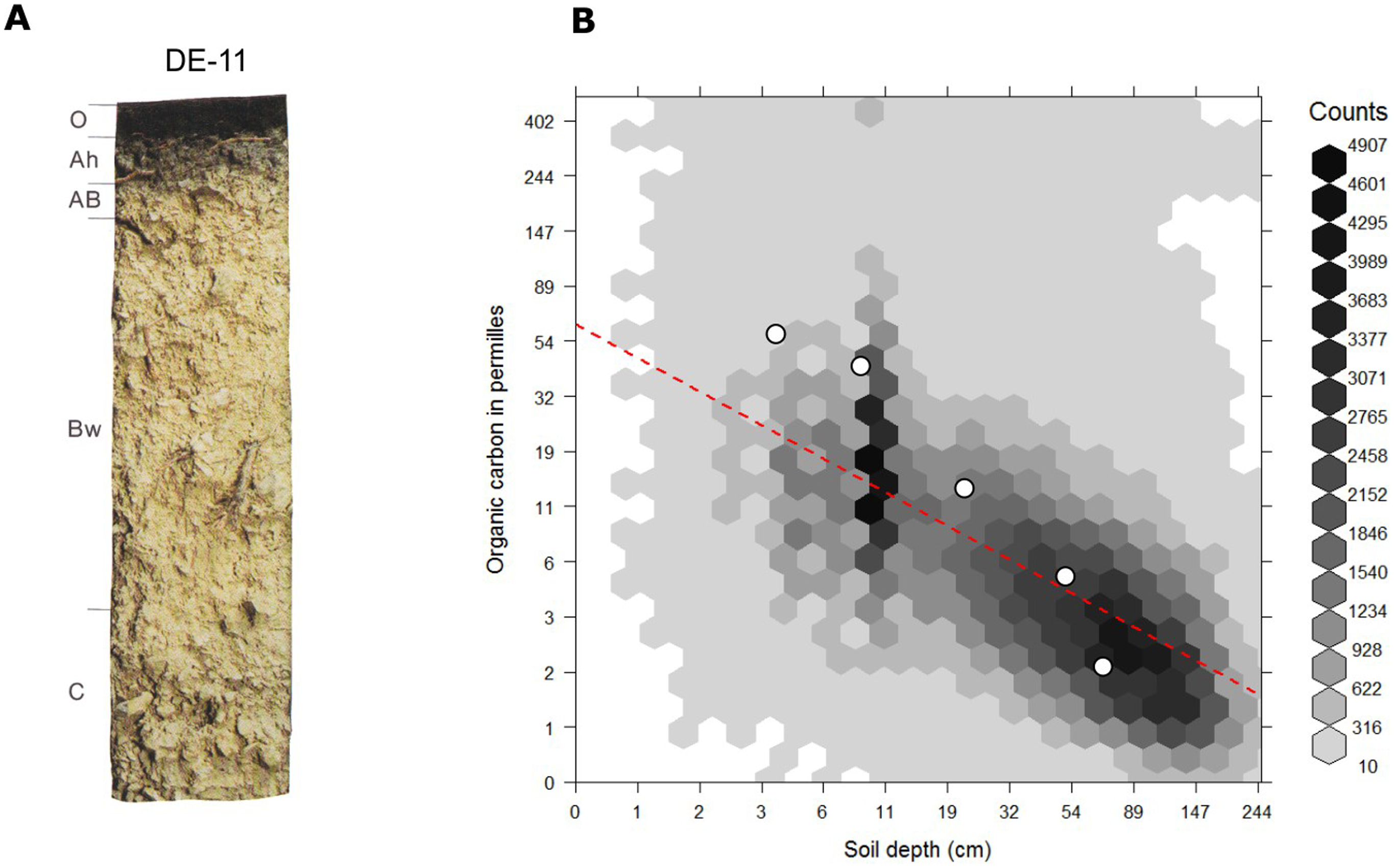 Globally fitted regression model for predicting soil organic carbon using depth only (log-log regression) and (a) individual soil profile from the ISRIC soil monolith collection. Image source: Hengl et al. (2014) doi: 10.1371/journal.pone.0105992.